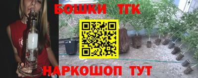 прущие грибы Заводоуковск