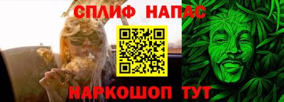 прущие грибы Заводоуковск