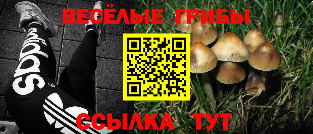 Псилоцибиновые грибы Psilocybine cubensis  Вход с VPN  Мелеуз 