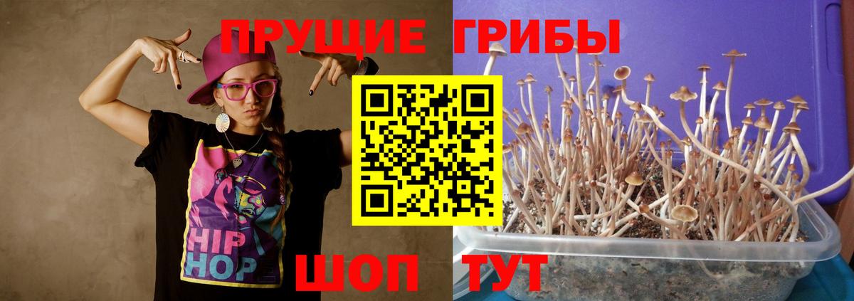 Псилоцибиновые грибы прущие грибы Мелеуз